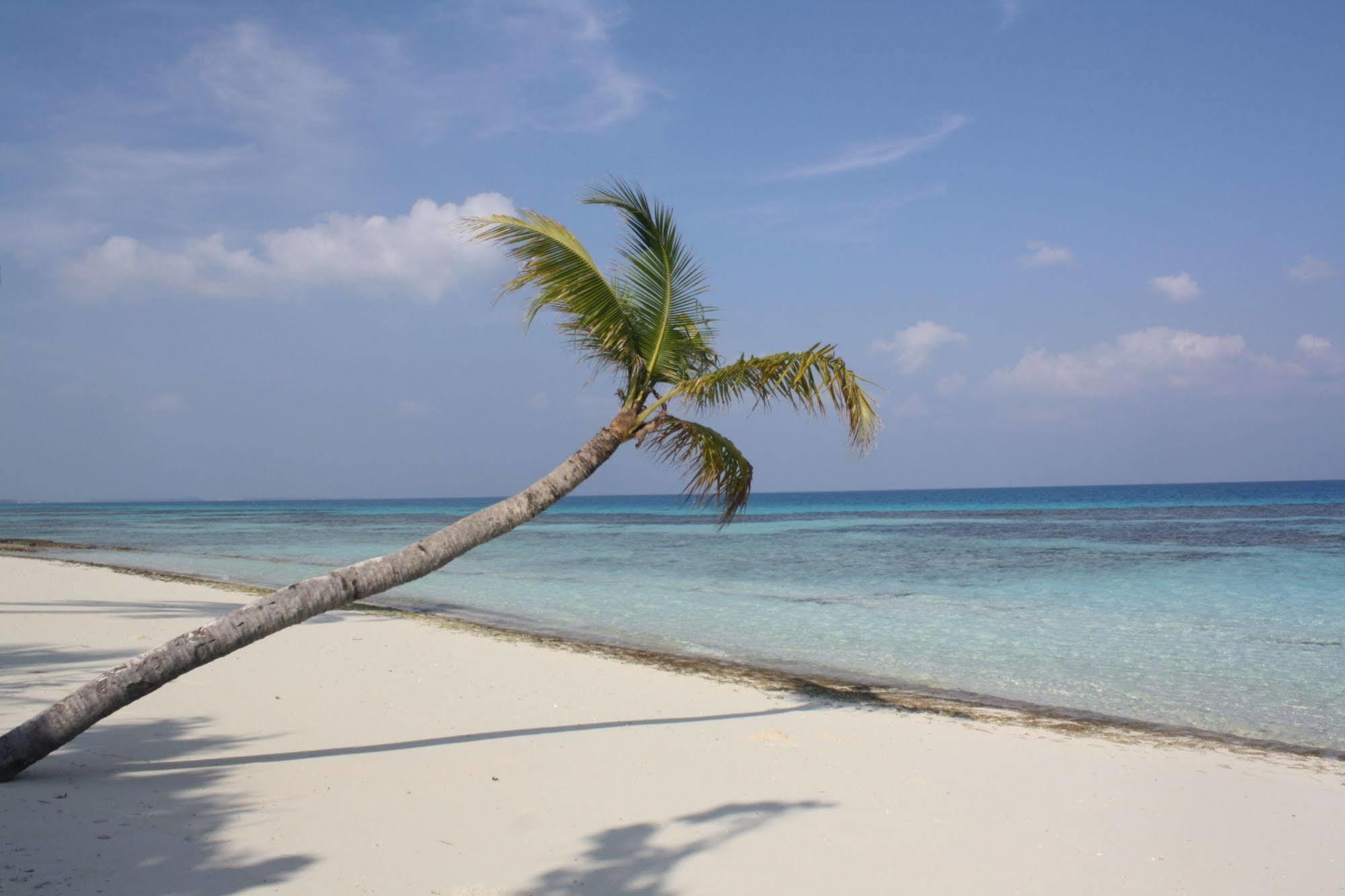 Boutique Beach All Inclusive Diving Hotel Dhigurah  Eksteriør bilde